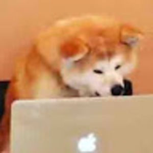 Meet your Posher, Alfredo